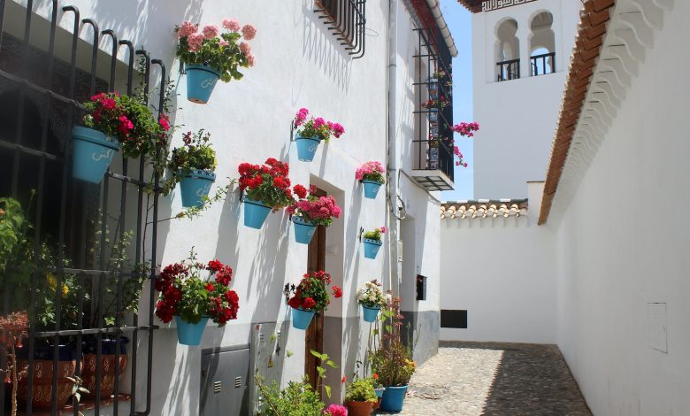 blue plant pots hanging on white wall