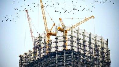 low angle photography of cranes on top of building