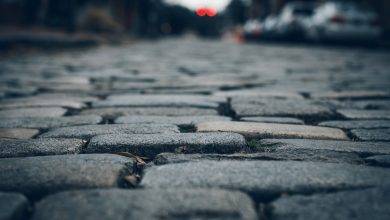 selective focus photo of brown leaf on concrete brick