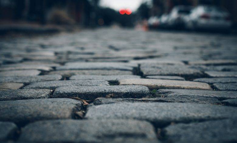 selective focus photo of brown leaf on concrete brick